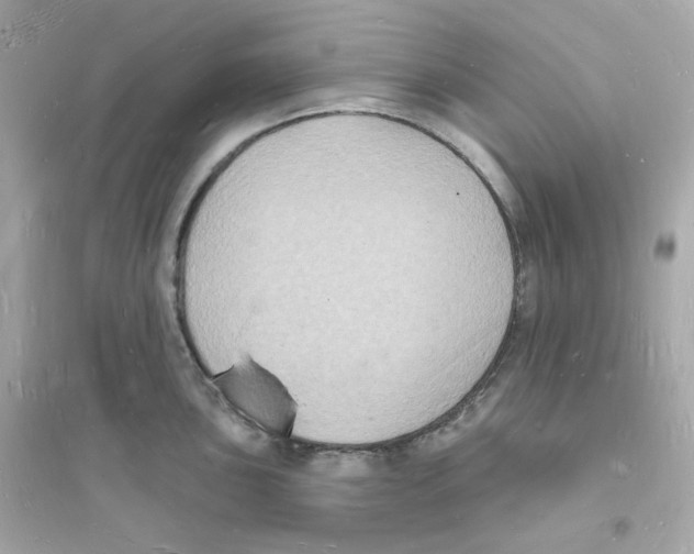 X0000093721051200711131009