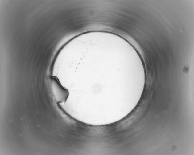 X0000093721053200711131009