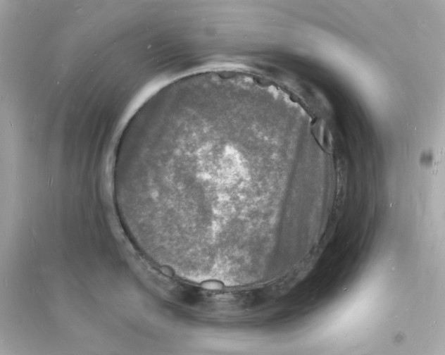 X0000093721054200711131009