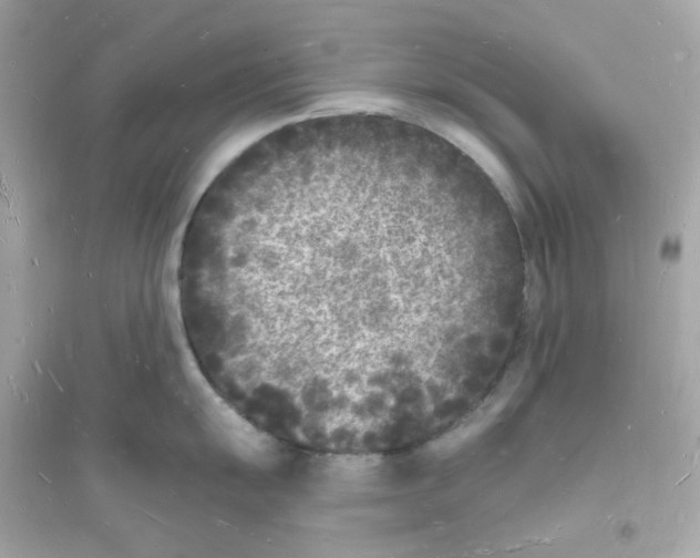 X0000093721055200711131009