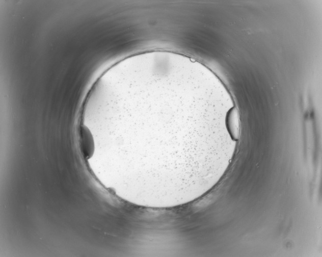 X0000093721056200711131009