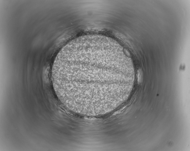 X0000093721059200711131008