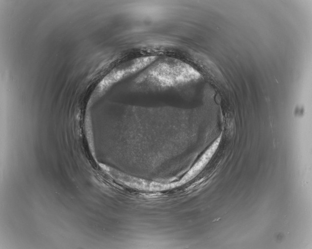 X0000093721060200711131008