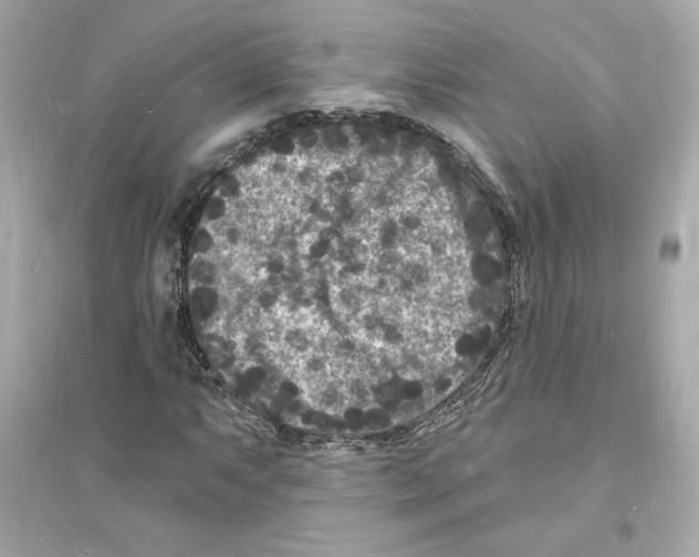 X0000093721063200711131008