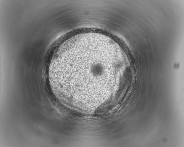 X0000093721064200711131008