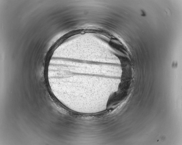 X0000093721066200711131008