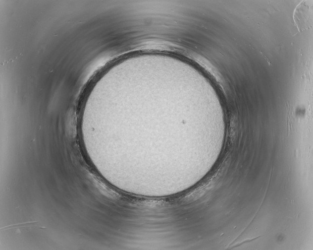 X0000093721067200711131008