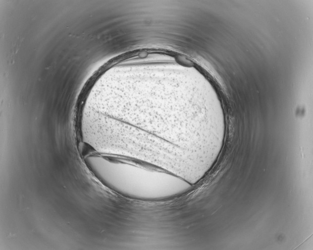 X0000093721068200711131008