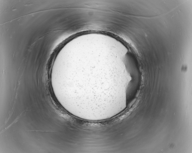 X0000093721070200711131008