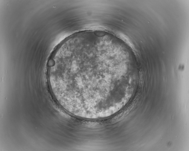 X0000093721071200711131008