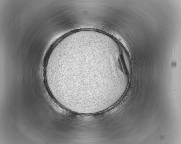 X0000093721072200711131008