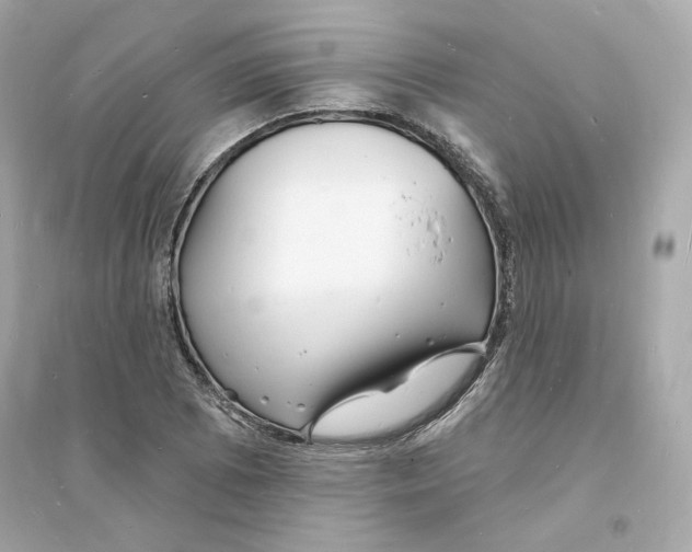 X0000093721073200711131008