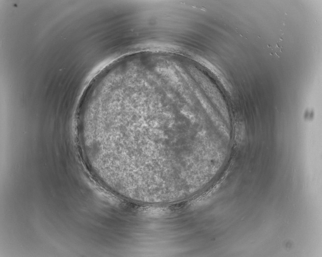 X0000093721074200711131008