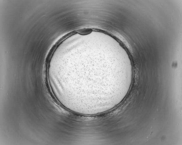 X0000093721076200711131008