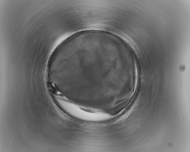 X0000093721077200711131008