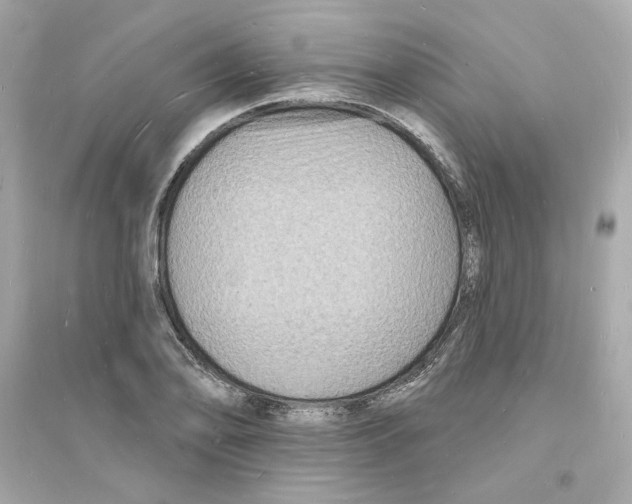 X0000093721078200711131008