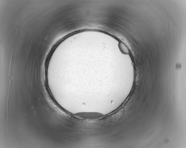 X0000093721080200711131008