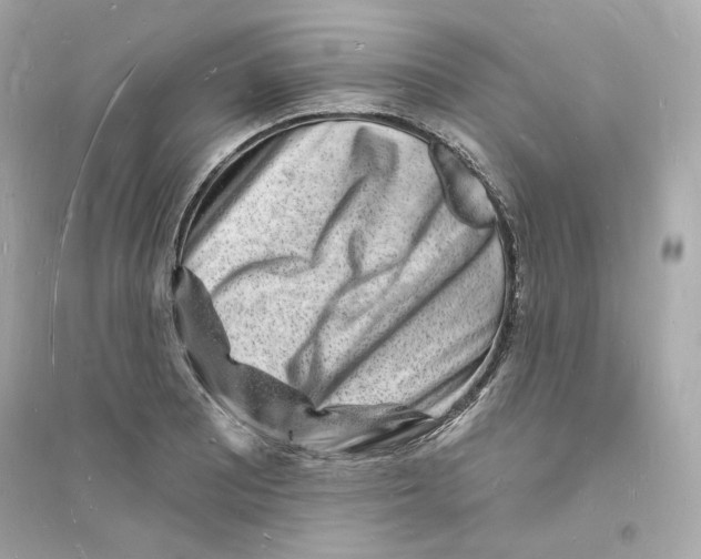 X0000093721081200711131008