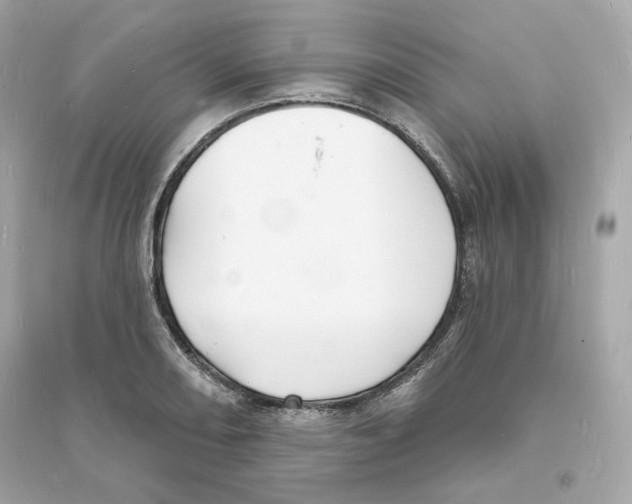 X0000093721082200711131008