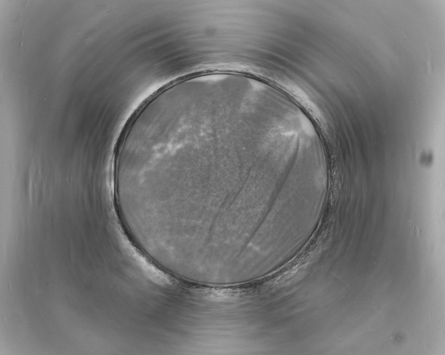 X0000093721084200711131007