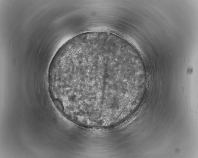 X0000093721087200711131007