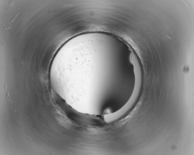 X0000093721089200711131007