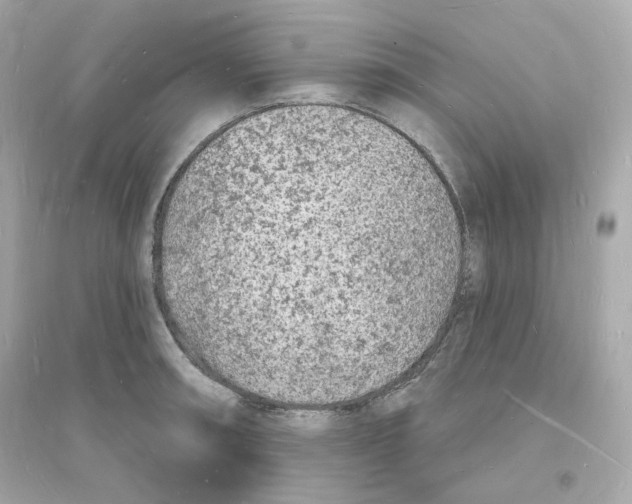 X0000093721090200711131007