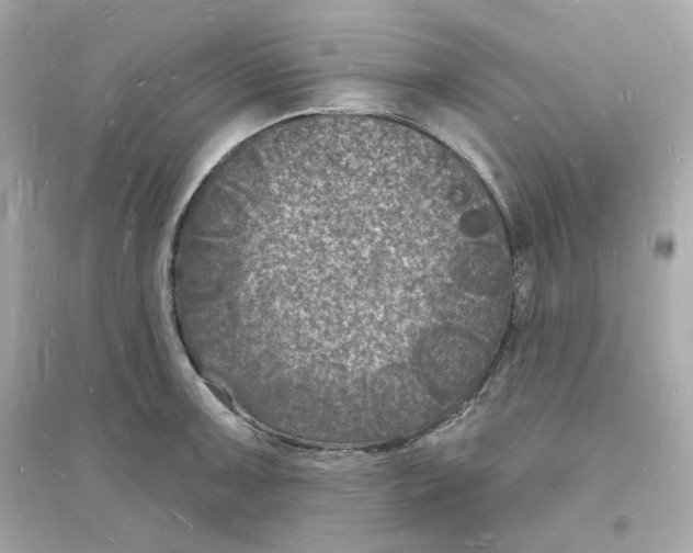 X0000093721091200711131007