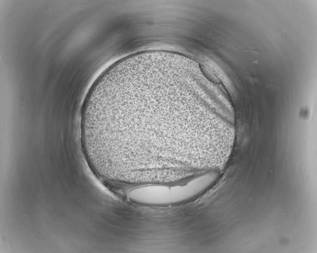 X0000093721092200711131007