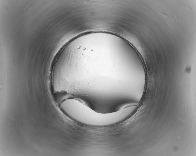 X0000093721093200711131007