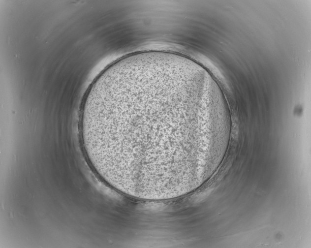 X0000093721094200711131007