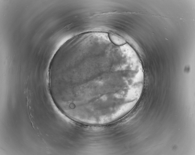 X0000093721095200711131007