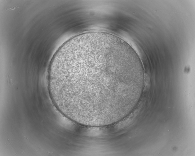 X0000093721098200711131007