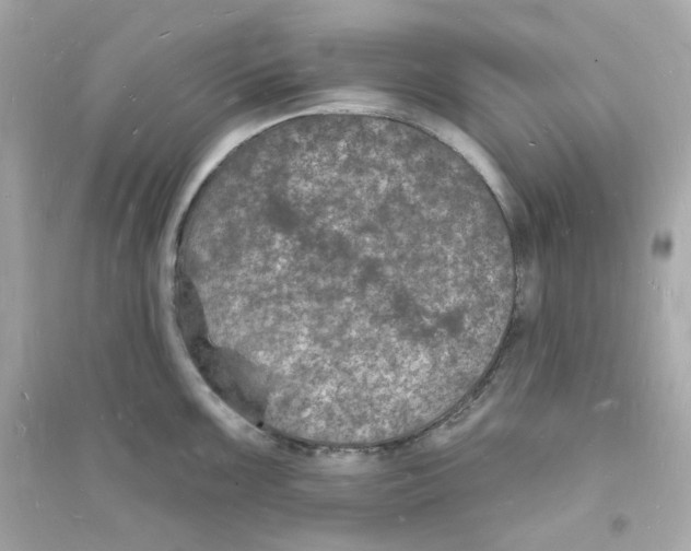 X0000093721099200711131007