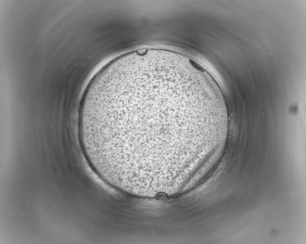 X0000093721100200711131007