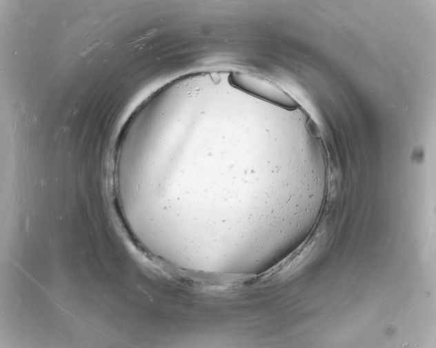 X0000093721101200711131007