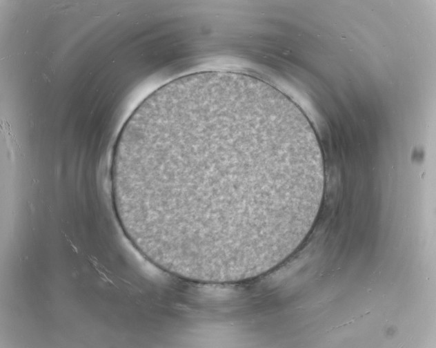 X0000093721103200711131007