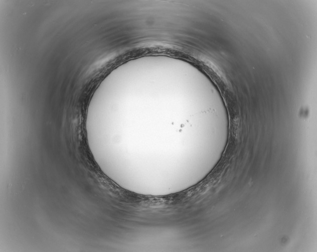 X0000093721111200711131006