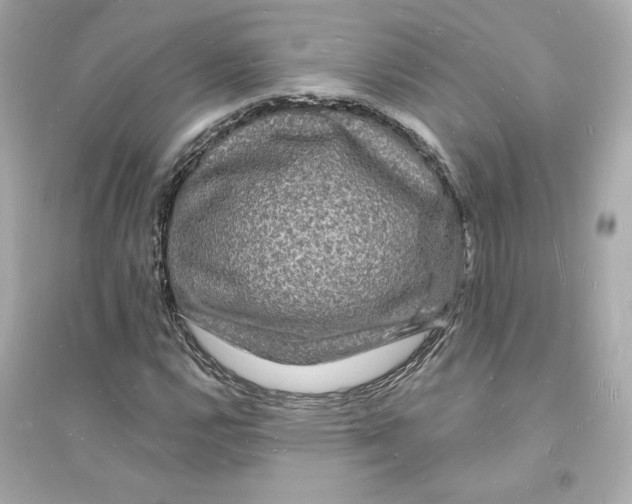 X0000093721112200711131006