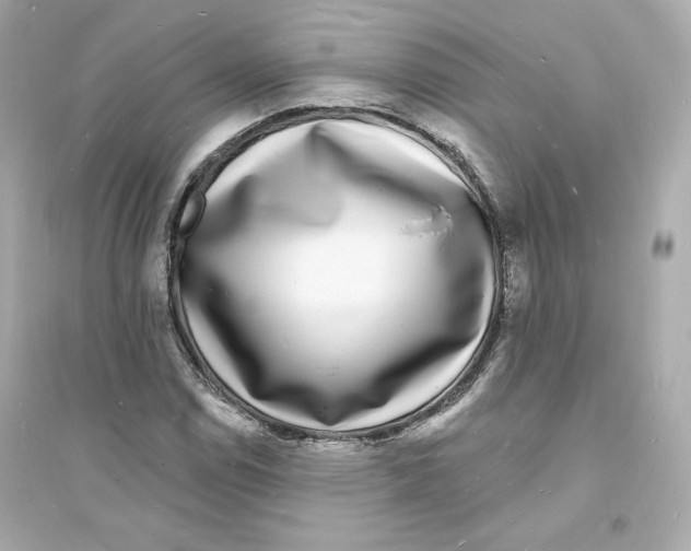 X0000093721114200711131006