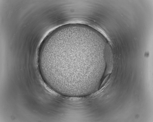 X0000093721116200711131007