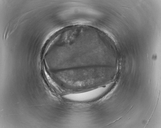 X0000093721117200711131007