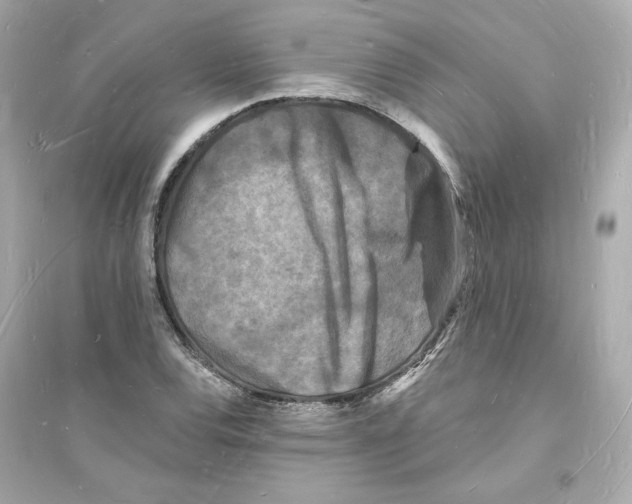 X0000093721120200711131007