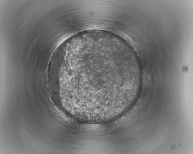 X0000093721121200711131007