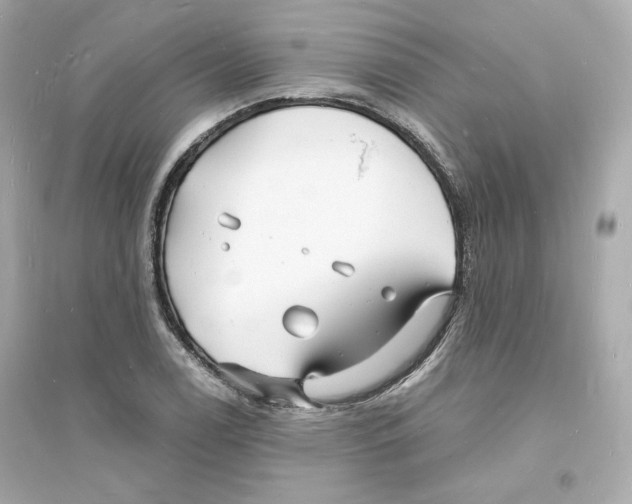 X0000093721122200711131007