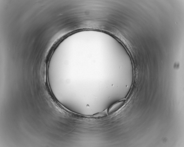 X0000093721123200711131007