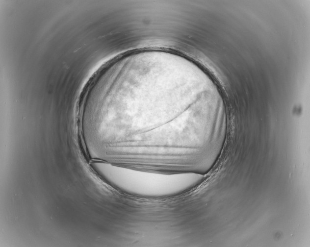 X0000093721124200711131007