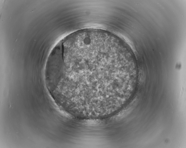 X0000093721125200711131007