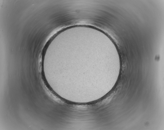 X0000093721126200711131007