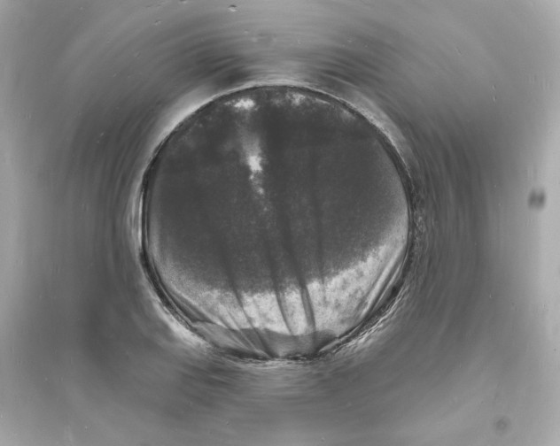 X0000093721127200711131007